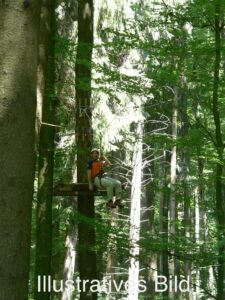 Klettergarten Rummelsberg - 6 Parcours im Wald und für Rollstuhlfahrer geeignet